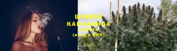 шишки Магадан