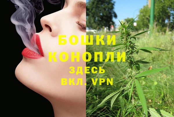 шишки Магадан