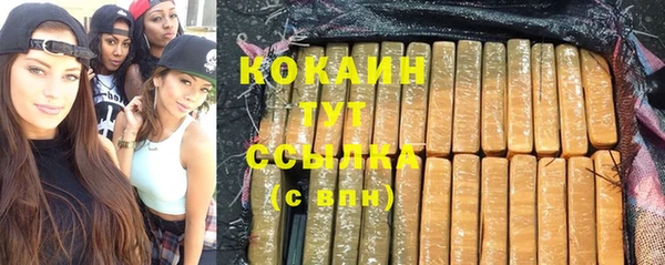 шишки Магадан