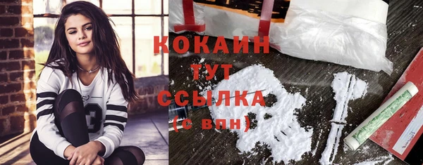 шишки Магадан