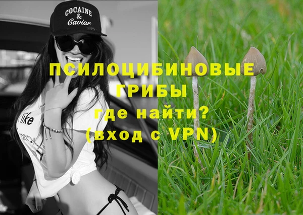 apvp Майский